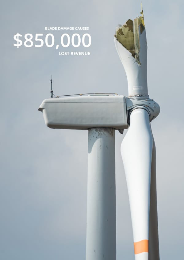 Insensys -  Blade Condition Monitoring - Page 2