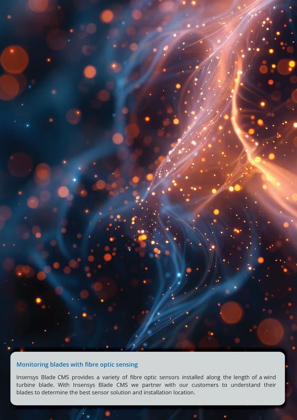 Insensys -  Blade Condition Monitoring - Page 6